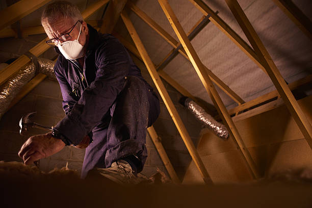 Best Insulation Maintenance and Repair in White Settlement, TX